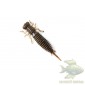 Силіконова приманка Larva 4.5 дюйма колір 006