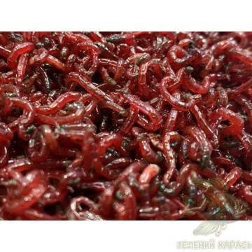 Червінці (мотиль)