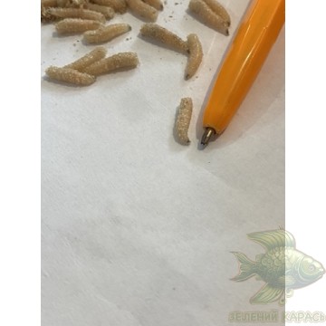 Опариш-пінка