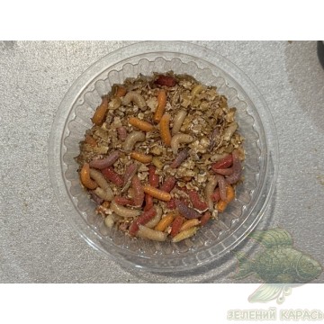 Опариш-пінка