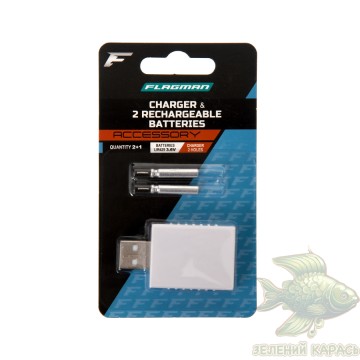 Зарядний набір Flagman Electronic Set LIR425